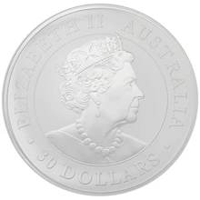 2020 Australian Koala Silver Coin 1kg