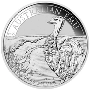 Australian Emu