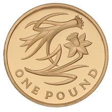 2013 Proof Gold £1 Pound Coin Wales Floral Boxed