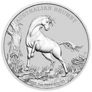 Australian Silver Brumby
