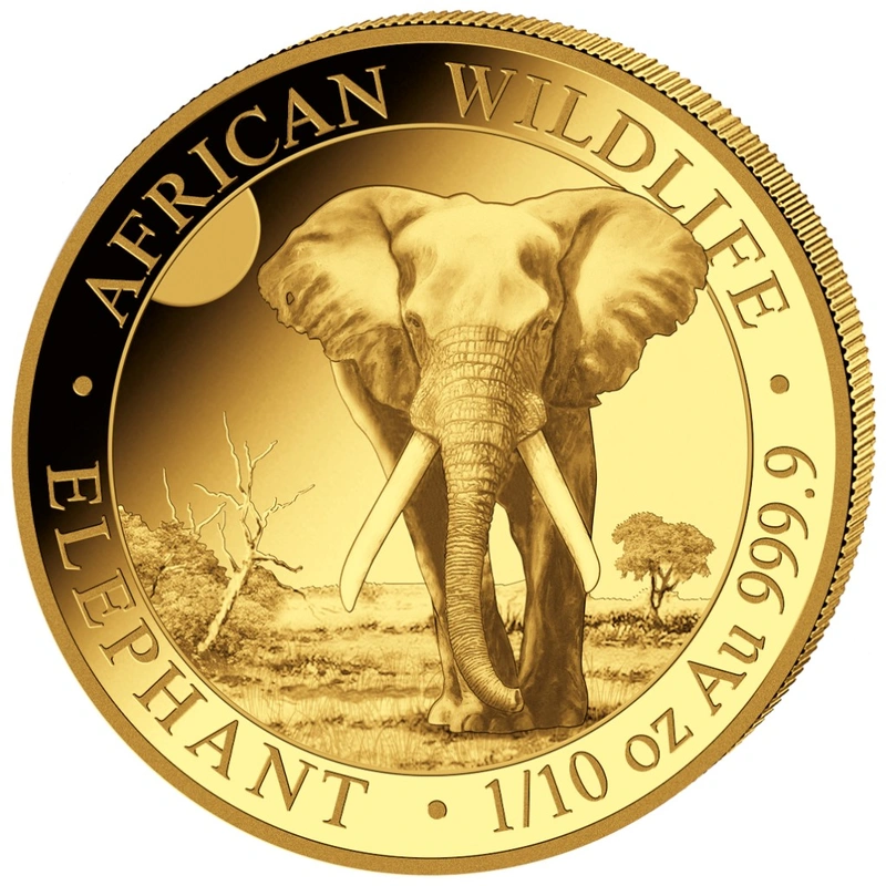 2026 1/10oz African Wildlife Elephant Gold Coin - From $513.90