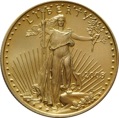 2005 1/2oz American Eagle Gold Coin