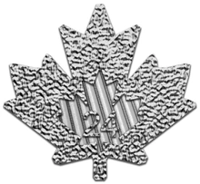 2024 1oz Canadian Maple Silver Coin