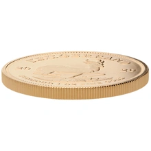 2020 1oz Gold Krugerrand