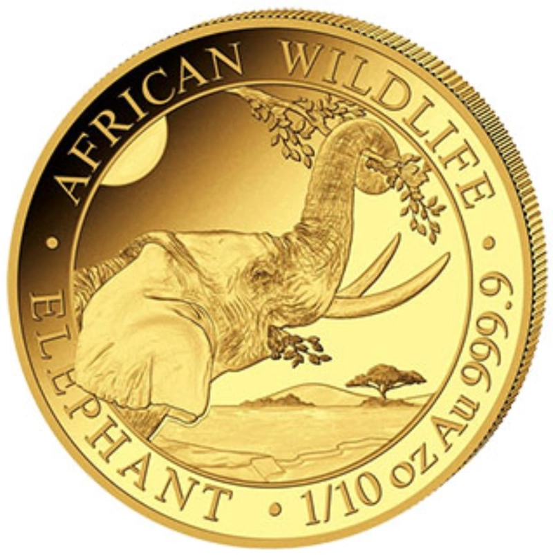 2023 1/10oz African Wildlife Elephant Gold Coin