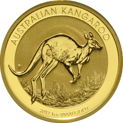 Gold Kangaroo Nugget