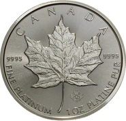 Other Platinum Coins