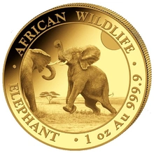 アクセサリー YON Nature Coin African Elephant Nature Coin African