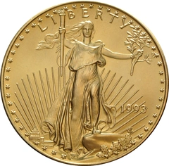 1993 American Eagle Gold Coin 1oz