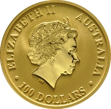 2017 1oz Gold Australian Nugget
