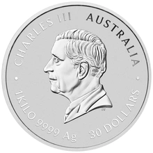 2025 Year of the Snake Silver Coin 1kg Perth Mint Australian Lunar Series