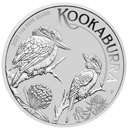 Australian Kookaburra
