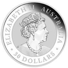 2019 1kg Silver Australian Koala