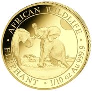 2024 1/10oz African Wildlife Elephant Gold Coin