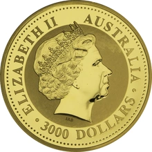 2010 1kg Gold Australian Kangaroo