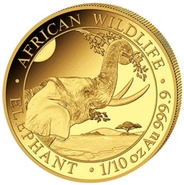 Somalian African Wildlife